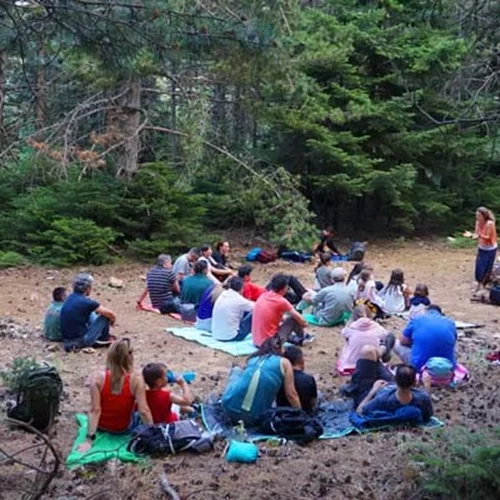Πεζοπορία και παραμύθια για μικρούς και μεγάλους στο Ελατοδάσος της Πάρνηθας