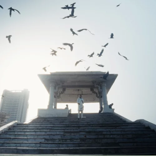 Το βραβευμένο ντοκιμαντέρ "All that Breathes" έρχεται τον Οκτώβριο στο CineDoc