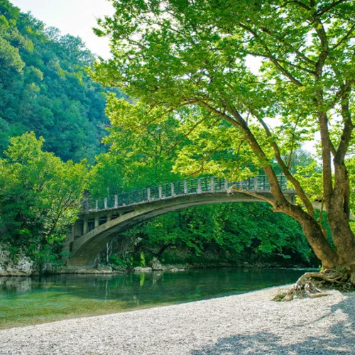 Φέτος έχουμε έναν ακόμη λόγο να κάνουμε διακοπές στο βουνό