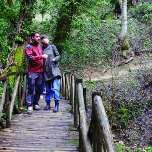 Είστε για μονοήμερη στο βουνό;