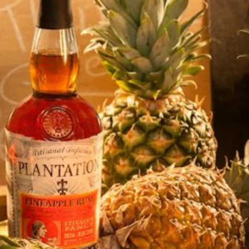 360 μοίρες γύρω από τον κόσμο του ρουμιού 