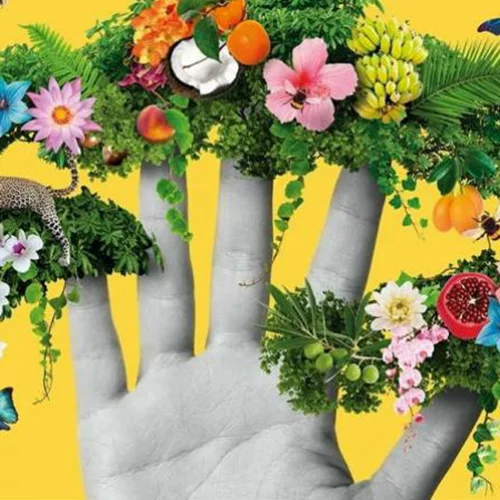 Happy Birthday Body Shop 