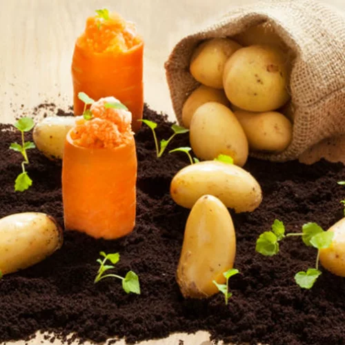 Τα λαχανικά είναι το νέο κρέας!