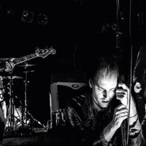 Gang of Four στο "Fuzz"