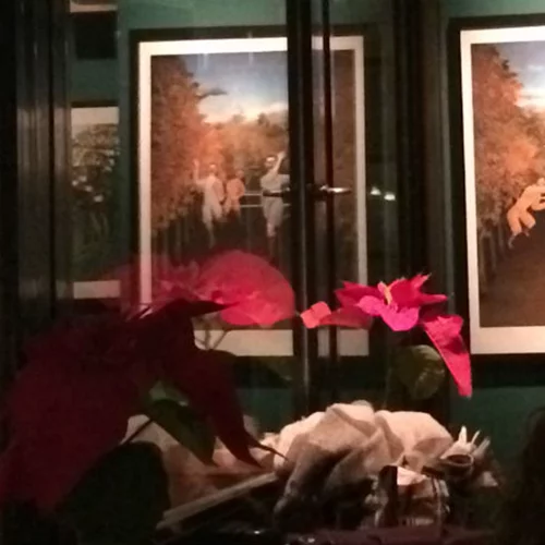 Κολοκοτρώνη 9: Το μικρό, αγαπημένο μπαρ της πόλης