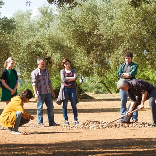 Το ισπανικό κοινωνικό σινεμά και «Η Ελιά» του...