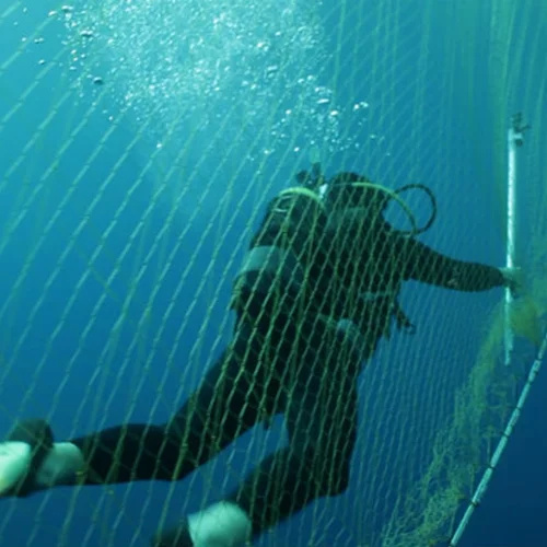 Μέχρι πότε θα έχει ψάρια το Αιγαίο;