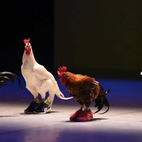 Είδαμε το ακραίο «4» του Ροντρίγκο Γκαρσία