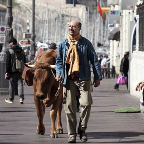 Μια Αγελάδα στο Παρίσι 
