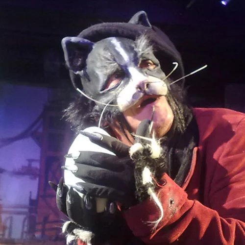 Τρεις γάτοι σε πλήρη δράση 