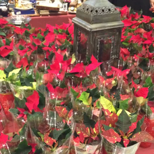 Χριστουγεννιάτικο Βazaar  των «Φίλων της Μέριμνας»