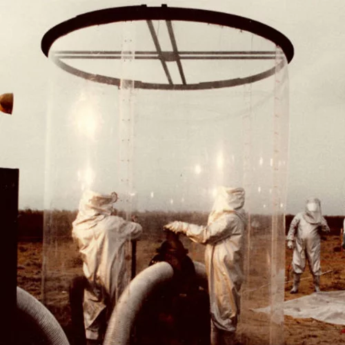 Ανακαλύψτε τη «Χαμένη Λεωφόρο του Ελληνικού Σινεμά»