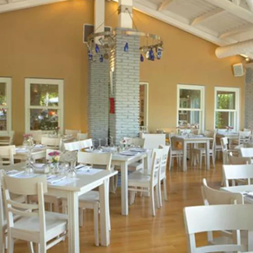 Εβδομάδα για μανιταρολάτρεις στο «Αλεξάνδρα»