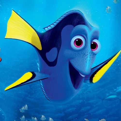 Finding Dory