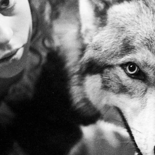 Το Athens Open Air Festival και το Φεστιβάλ Αθηνών και Επιδαύρου ετοιμάζουν ένα ανατριαχιαστικό βράδυ στον Κήπο της Πειραιώς 260