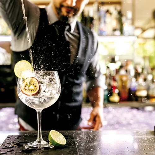 Premium spirits αλά ελληνικά μας «φτιάχνουν» το καλοκαίρι 