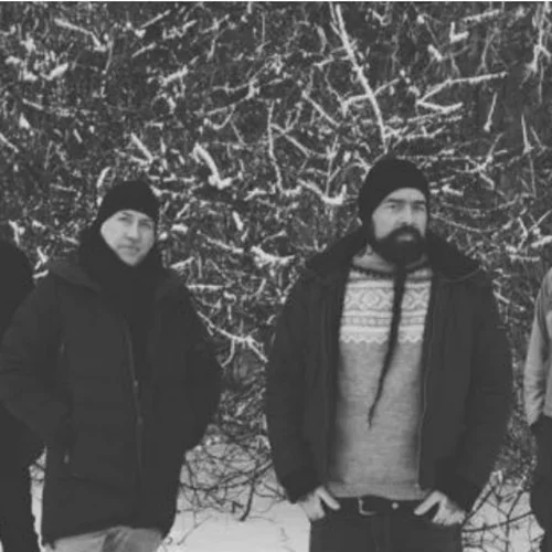 Οι συναρπαστικοί Νορβηγοί λύκοι