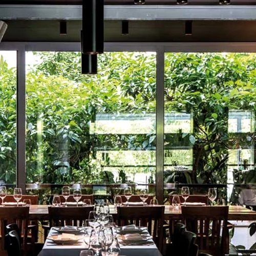 Βασίλαινας 