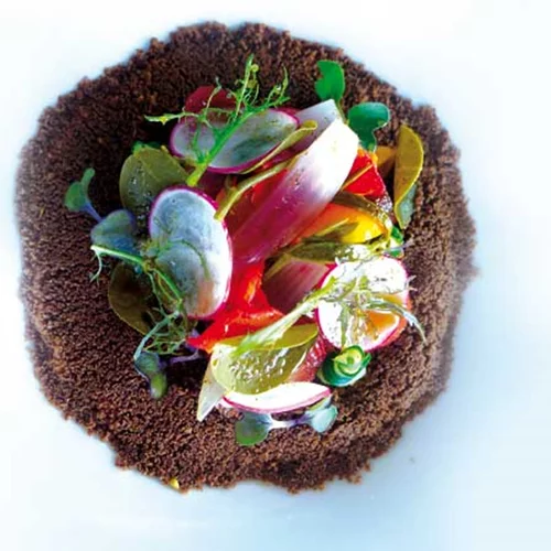 Αναδόμηση με άποψη στο «Bubo»