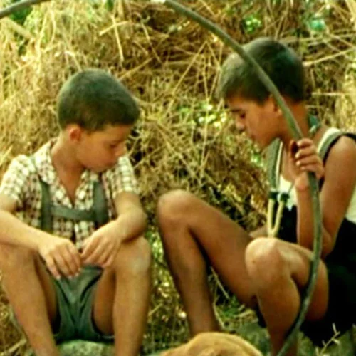 Το Δέντρο που Πληγώναμε