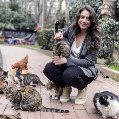 Η «γατομαμά» Τσεϊντά Τορούν μας συστήνει στις «Γάτες της Κωνσταντινούπολης»