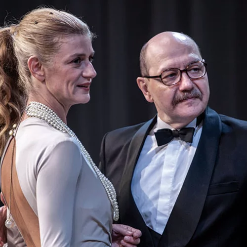 Η αγριόπαπια 