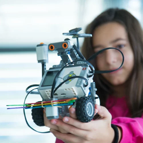 7 εκπαιδευτικά προγράμματα της Στέγης για τον Φεβρουάριο