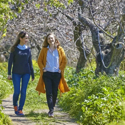 «Γεωμετρίες» | Γιατί όλοι οι Αθηναίοι με βαθιά οικολογική συνείδηση δίνουν ραντεβού στο Γεωπονικό;