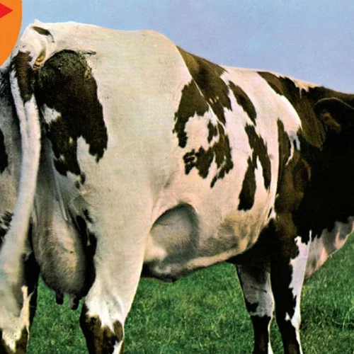 Ποιο αριστούργημα των Pink Floyd μεταφέρει στο θέατρο ο Μάξιμος Μουμούρης;