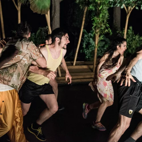 Οι «Όρνιθες» του Καραθάνου live από τη Νέα Υόρκη