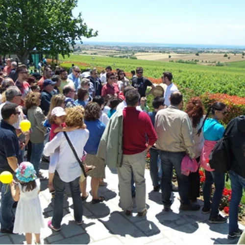 Τα οινοποιεία «Ανοίγουν τις πόρτες τους»