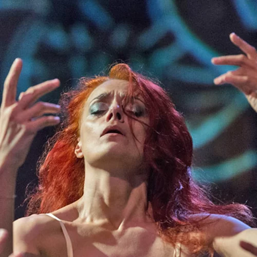 Δεσποινίς Δυστυχία