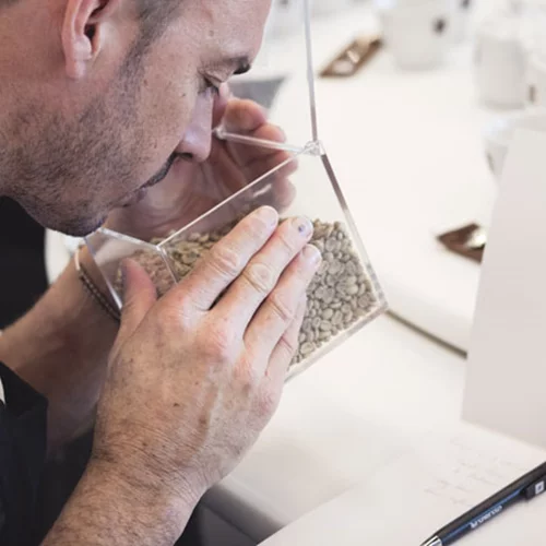 Οι Coffee Sommelier εξελίσσουν τη γαστρονομία 