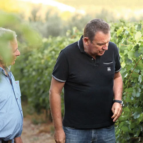 Ένα καινοτόμο Peplo στο ποτήρι