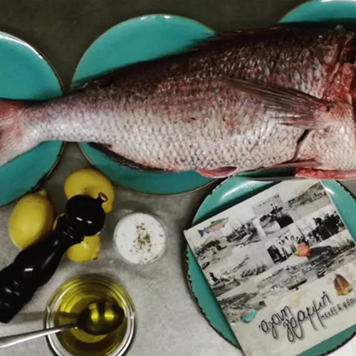 Η «Άγονη γραμμή» σε προετοιμάζει για τα καλοκαιρινά ταξίδια