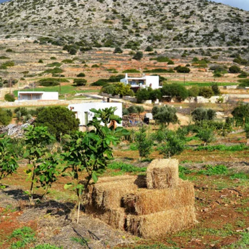 Αγρόκτημα Καμάρανθο | Η άλλη όψη της Πάρου