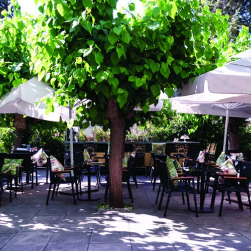 Ο κήπος με το νούμερο «49»