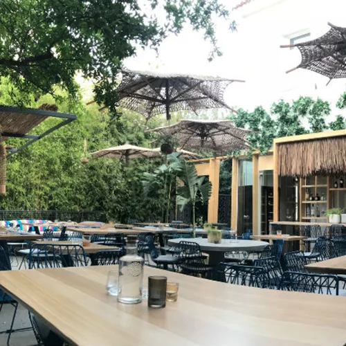 «Peru in a Yard»: Ένας κρυμμένος κήπος της Κηφισιάς μας ταξιδεύει στο Περού