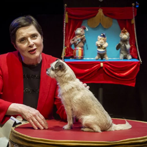 Ιζαμπέλα Ροσελίνι: «Νιώθω περισσότερο ελεύθερη όσο μεγαλώνω»