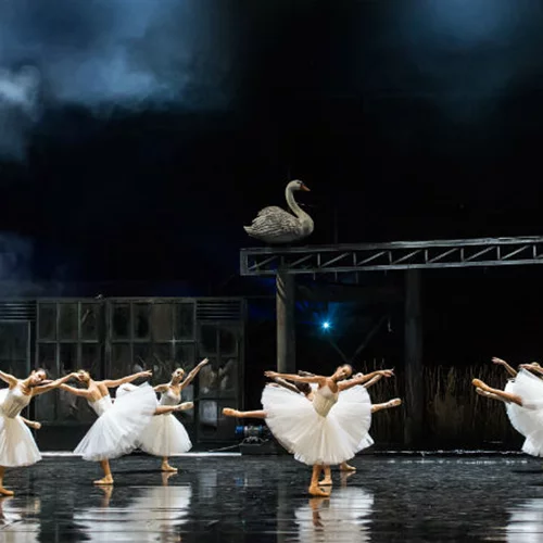 Η μετα-αποκαλυπτική «Λίμνη των Κύκνων» του Κωνσταντίνου Ρήγου