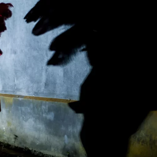 Τι πρέπει να ξέρετε για το 6ο MIRfestival