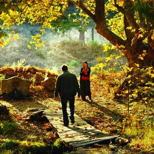 Η Άγρια Αχλαδιά