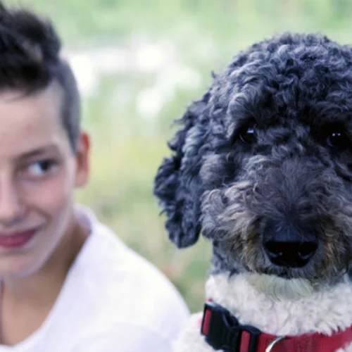 Το 21ο Φεστιβάλ Ντοκιμαντέρ Θεσσαλονίκης ετοιμάζει αφιέρωμα με επίκεντρο τα ζώα