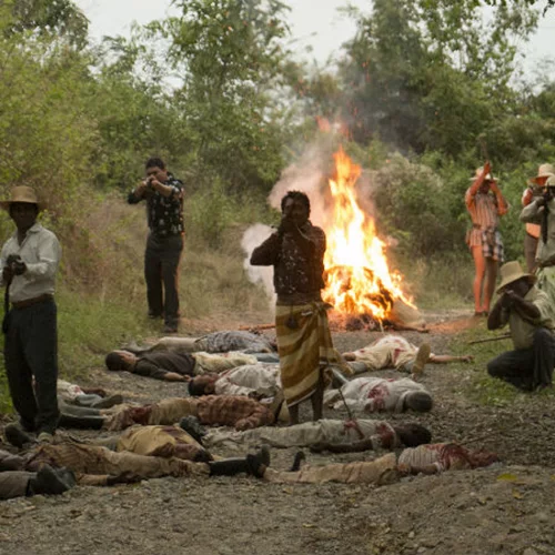 Αποδημητικά Πουλιά
