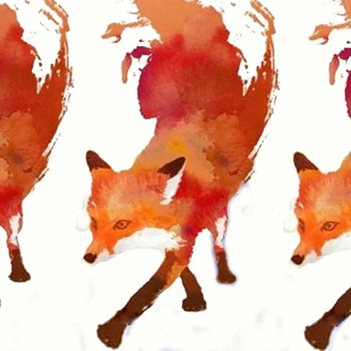 Συνάντηση καλλιτεχνικών οργανισμών από όλο τον κόσμο στο Θέατρο Αερόπλοιο