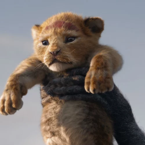 Νέο εντυπωσιακό τρέιλερ για τον «Βασιλιά των Λιονταριών»