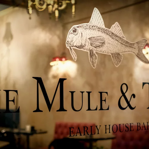 Ένα μουλάρι και ένα γουρούνι μπαίνουν σε ένα (νέο) μπαρ