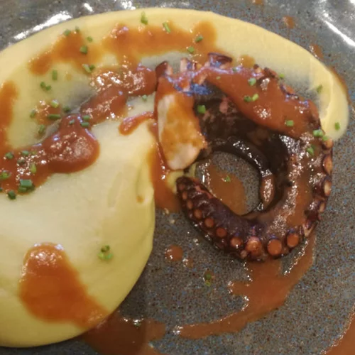 Το «Fish Project» βάζει το ψάρι στο μικροσκόπιο