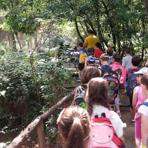 Η τέχνη και το παιχνίδι συναντιούνται σε ένα παιδικό καλοκαιρινό camp