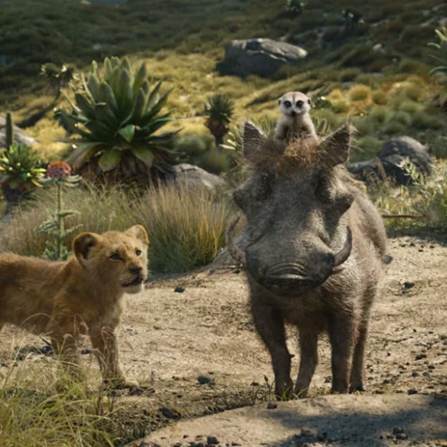 Οι ταινίες που θα δούμε στις αίθουσες την Πέμπτη 18/7